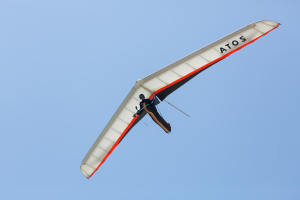 Nice photo of Hang Glider Torrey Pines Gliderport
