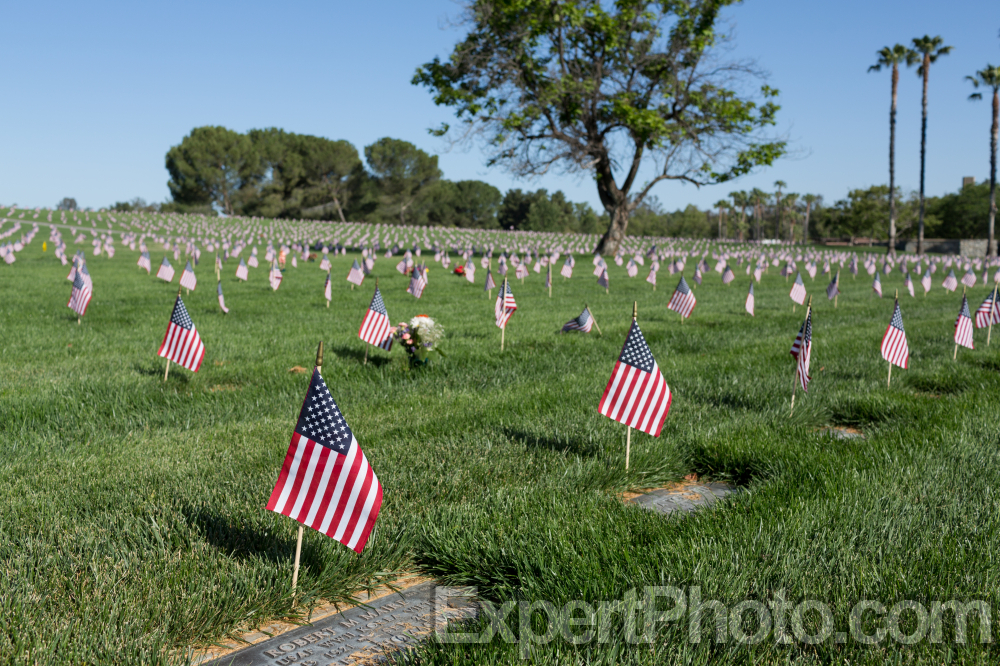 Nice photo of Memorial Day Riverside National Cemetery