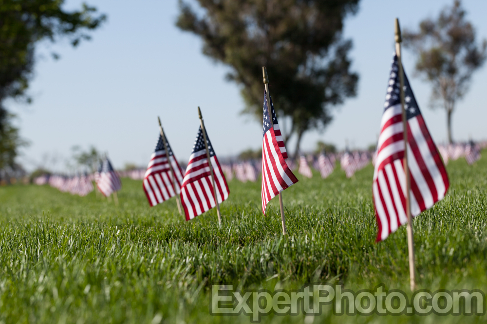 Nice photo of Memorial Day Riverside National Cemetery