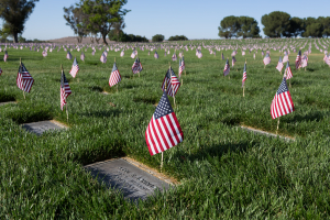 Nice photo of Memorial Day Riverside National Cemetery