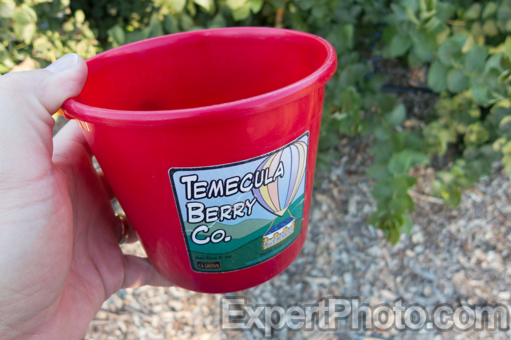 Nice photo of Temecula Berry Company