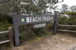 Nice photo of Torrey Pines Beach Trail