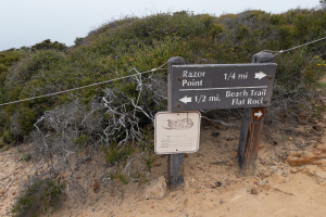 Nice photo of Torrey Pines Beach Trail
