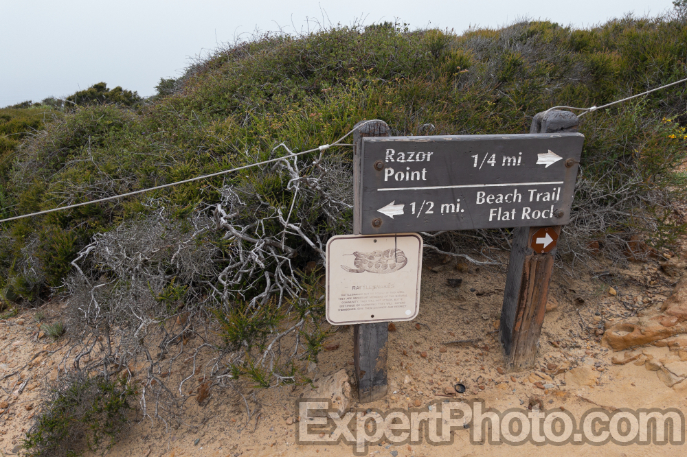 Nice photo of Torrey Pines Beach Trail