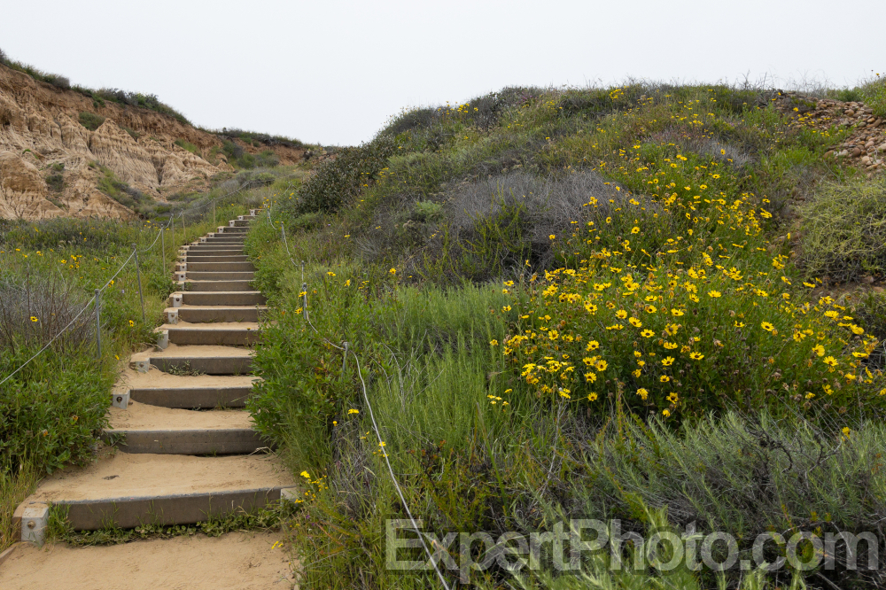 Nice photo of Torrey Pines Beach Trail