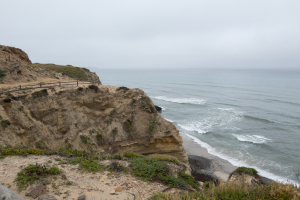 Nice photo of Torrey Pines Beach Trail