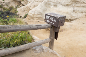 Nice photo of Torrey Pines Beach Trail