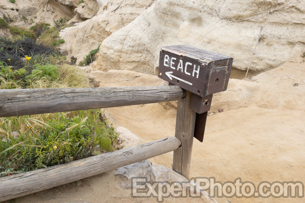 Nice photo of Torrey Pines Beach Trail