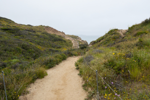 Nice photo of Torrey Pines Beach Trail