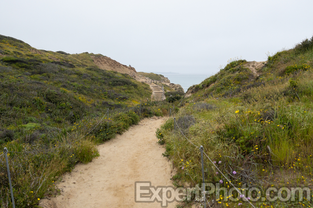 Nice photo of Torrey Pines Beach Trail