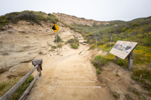 Nice photo of Torrey Pines Beach Trail