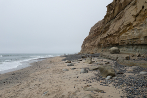 Nice photo of Torrey Pines State Beach