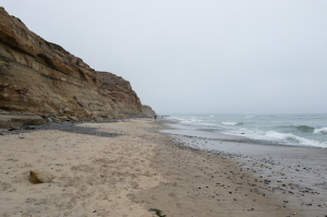 Nice photo of Torrey Pines State Beach