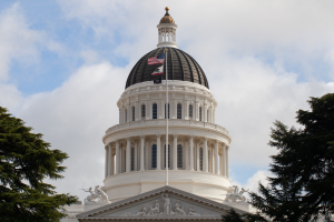 Nice photo of The California State Capitol Building Sacramento