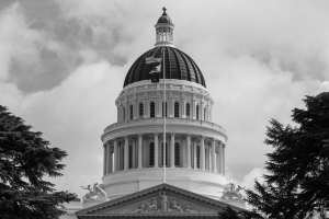Nice photo of The California State Capitol Building Sacramento