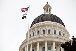 Nice photo of The California State Capitol Building Sacramento