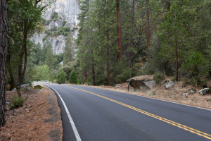 Nice photo of Yosemite National Park