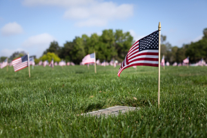 Nice photo of Riverside National Cemetery Memorial Day