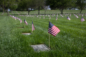 Nice photo of Riverside National Cemetery Memorial Day