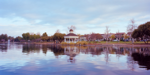 Nice photo of Harveston Lake