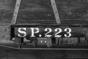 Nice photo of Grizzly Flats Railroad