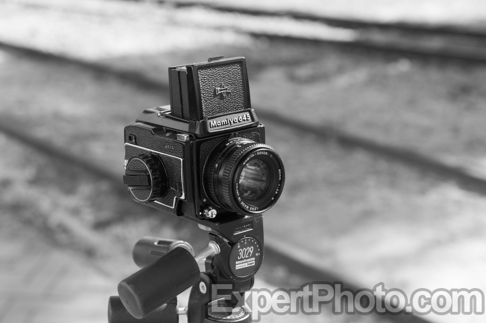 Nice photo of Mamiya M645