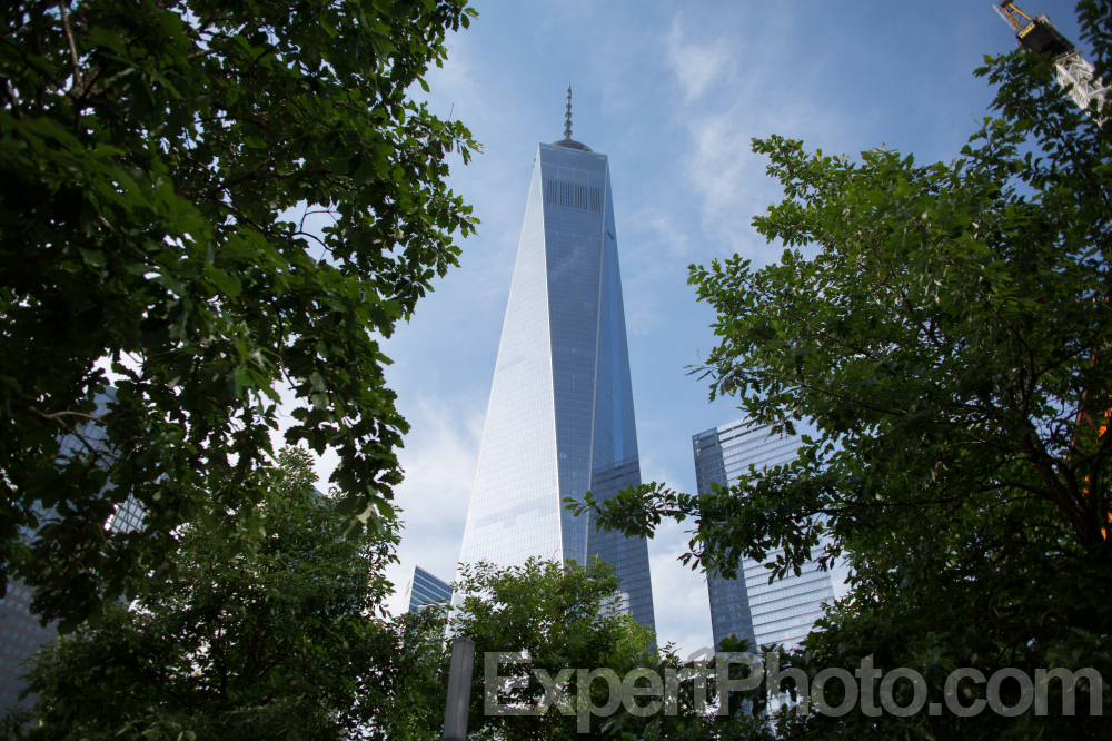 Nice photo of One World Trade Center