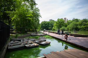 Nice photo of Central Park Row Boats
