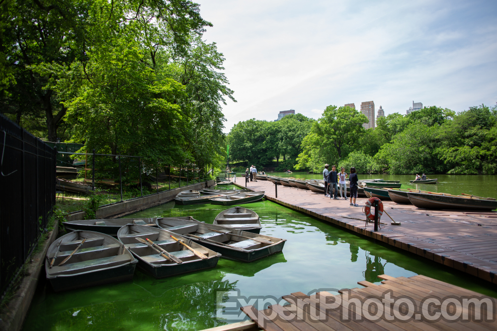 Nice photo of Central Park Row Boats