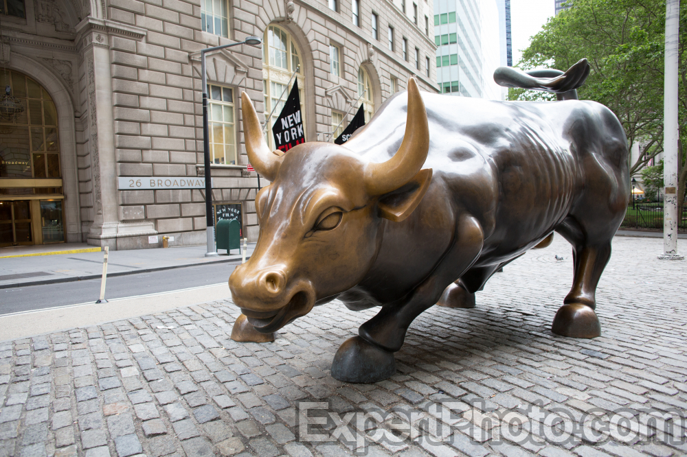 Nice photo of Charging Bull
