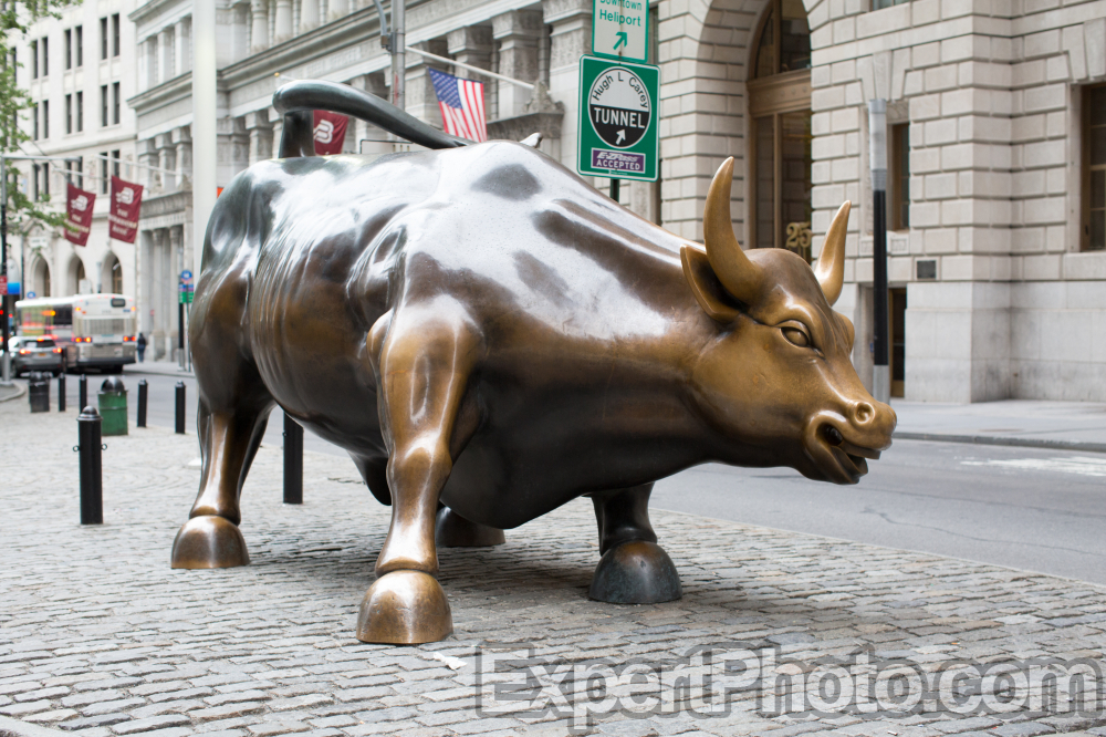 Nice photo of Charging Bull