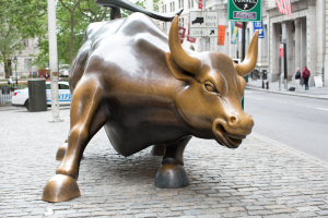 Nice photo of Charging Bull