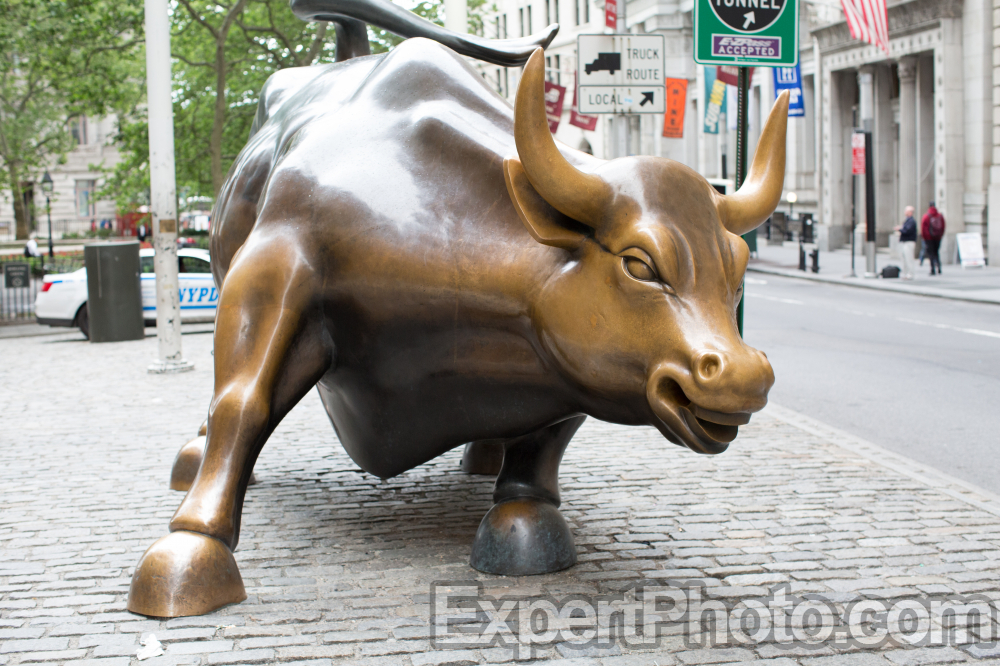 Nice photo of Charging Bull