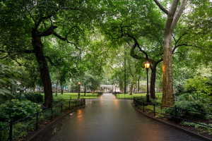 Nice photo of Madison Square Park