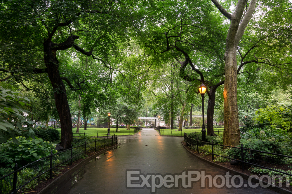 Nice photo of Madison Square Park