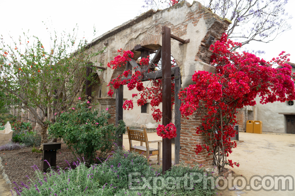 Nice photo of Mission San Juan Capistrano