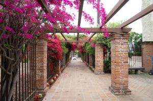 Nice photo of Mission San Juan Capistrano