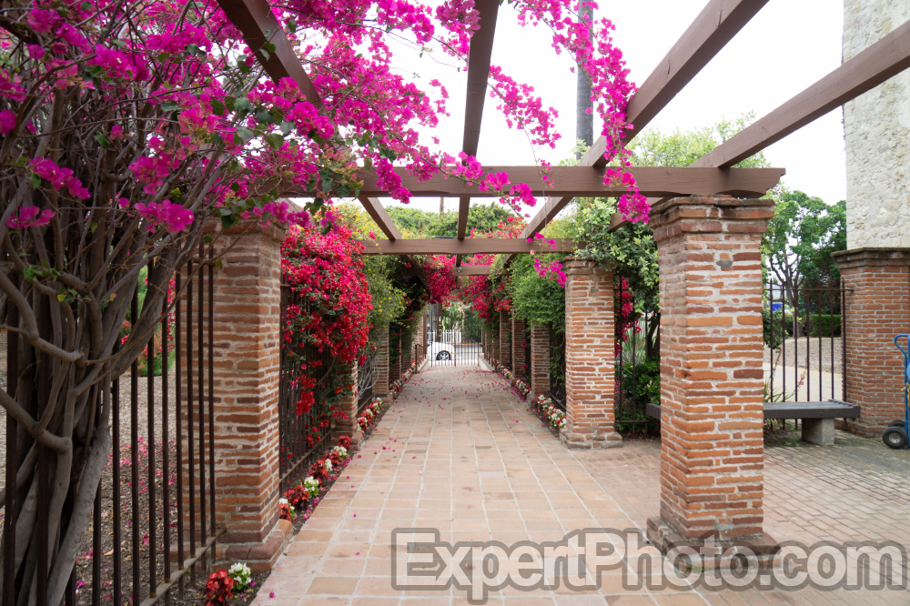 Nice photo of Mission San Juan Capistrano