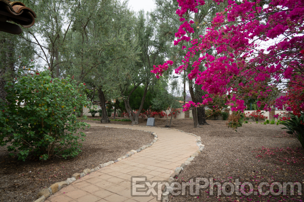 Nice photo of Mission San Juan Capistrano