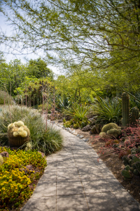 Nice photo of Huntington Library and Botanical Gardens