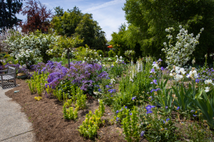 Nice photo of Huntington Library and Botanical Gardens
