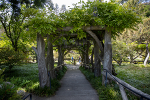 Nice photo of Huntington Library and Botanical Gardens