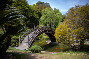 Nice photo of Huntington Library and Botanical Gardens