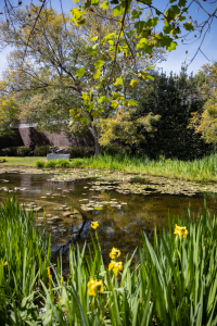 Nice photo of Norton Simon Museum