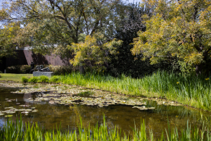 Nice photo of Norton Simon Museum