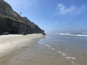 Nice photo of Moonlight State Beach
