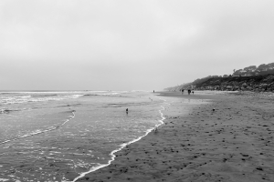 Nice photo of Torrey Pines in the Fog