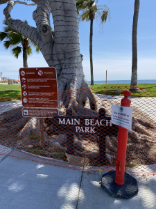 Nice photo of Laguna Beach Quarantine Signs