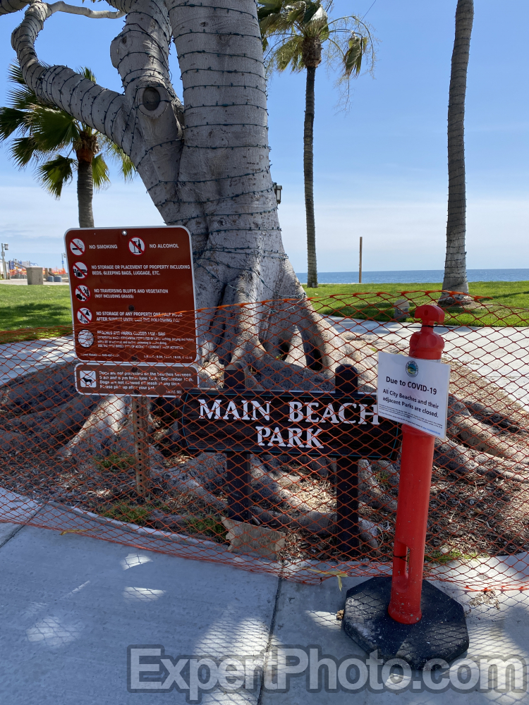 Nice photo of Laguna Beach Quarantine Signs