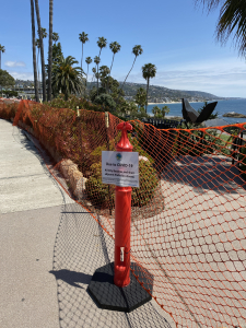 Nice photo of Laguna Beach Quarantine Signs